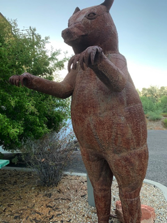 Aug 4 - Bear at Smith and Western. Aug 4 - Bear at Smith and Western.